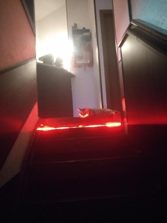 Sakura Inn Fergana Zewnętrze zdjęcie