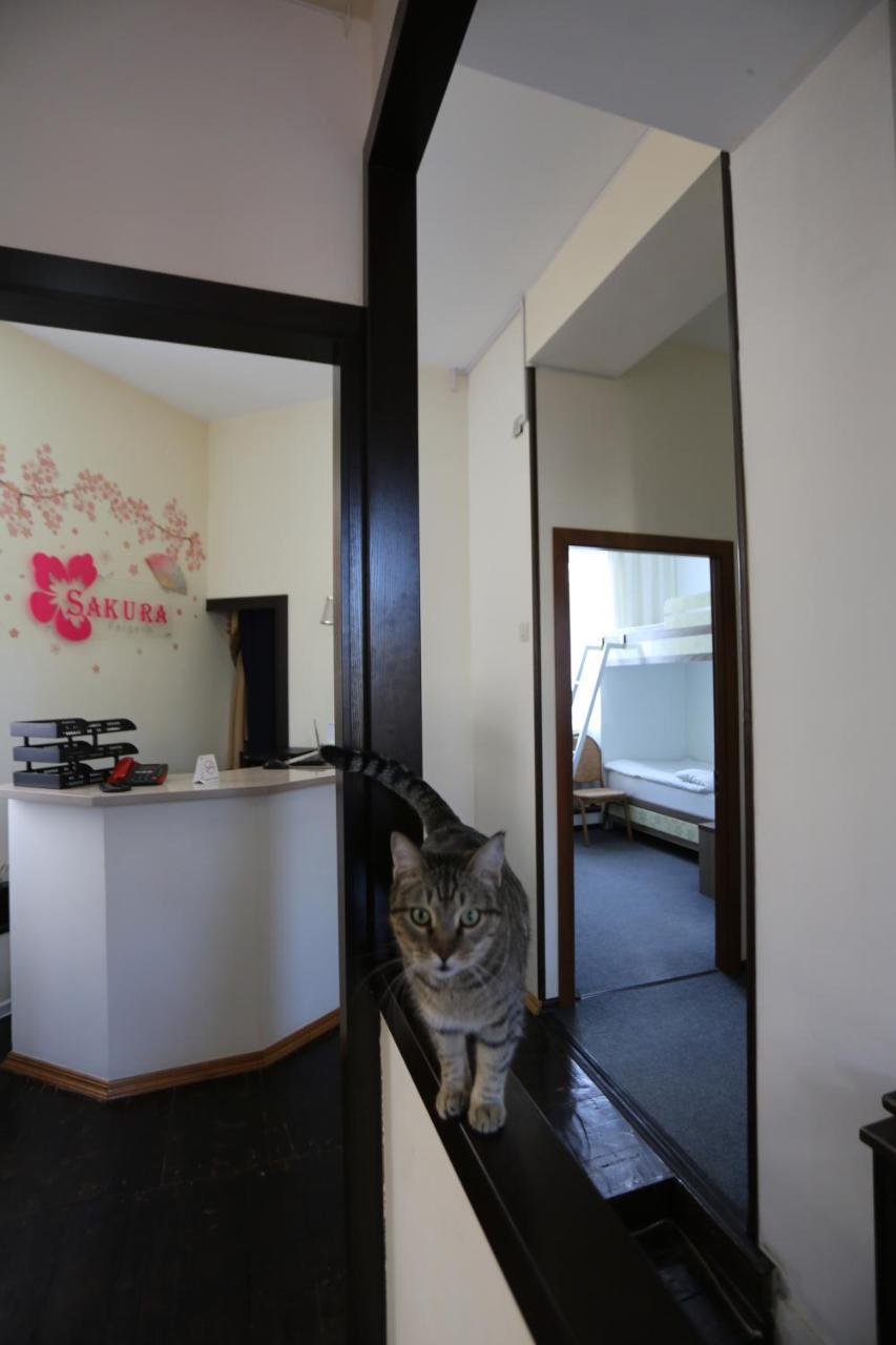 Sakura Inn Fergana Zewnętrze zdjęcie